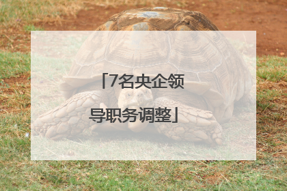 7名央企领导职务调整