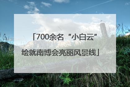 700余名“小白云”绘就南博会亮丽风景线