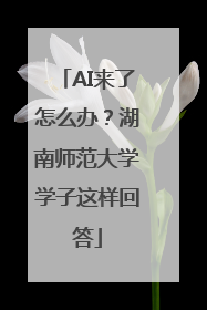 AI来了怎么办？湖南师范大学学子这样回答