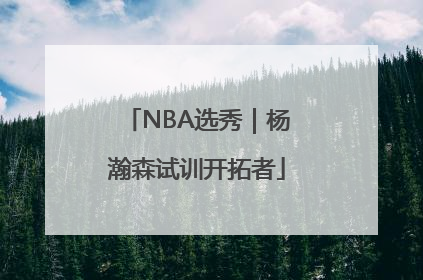 NBA选秀｜杨瀚森试训开拓者